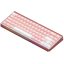 Игровая клавиатура AKKO RAY68 HE Magnetic Wireless AstroAim Magnetic Switches (розовый)