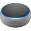 Умная колонка Amazon Echo Dot 3-е поколение (серый)