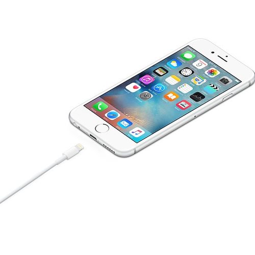 Беспроводные наушники Apple Lightning to USB 1 m (MD818ZM)