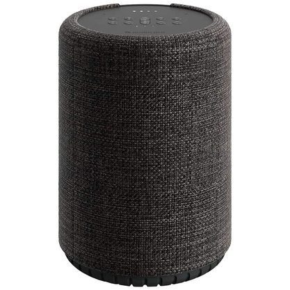 Умная колонка Audio Pro G10 (темно-серый)