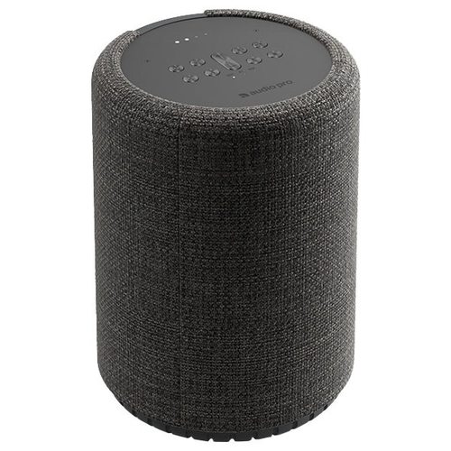 Умная колонка Audio Pro G10 (темно-серый)