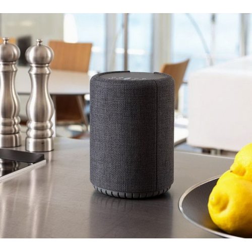 Умная колонка Audio Pro G10 (темно-серый)