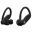 Беспроводные наушники Beats Powerbeats Pro 2 (черный)