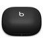 Беспроводные наушники Beats Powerbeats Pro 2 (черный)