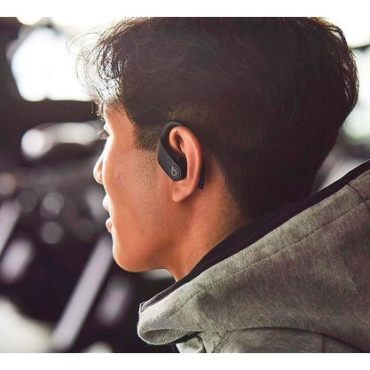 Беспроводные наушники Beats Powerbeats Pro (черный)