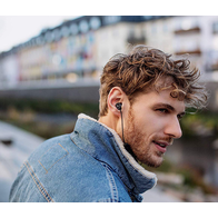 BeyerDynamic Blue Byrd