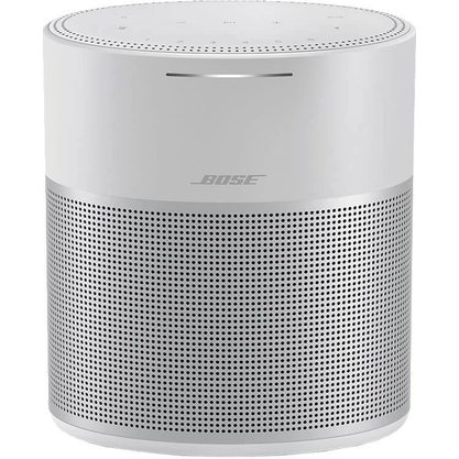 Умная колонка Bose Home Speaker 300 (серый)