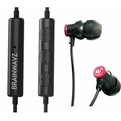 Наушники Brainwavz Delta (с микрофоном) (черный)