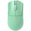 Игровая мышка Darmoshark M3 Micro Pro 1K (зеленый)