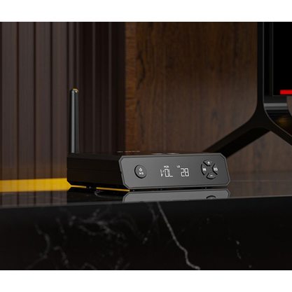 Стационарный усилитель и ЦАП FiiO BR13 (черный)