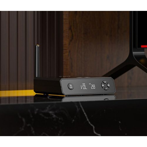 Стационарный усилитель и ЦАП FiiO BR13 (черный)