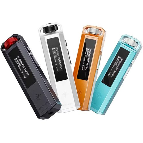 Плеер FiiO Snowsky Echo Nano (черный)