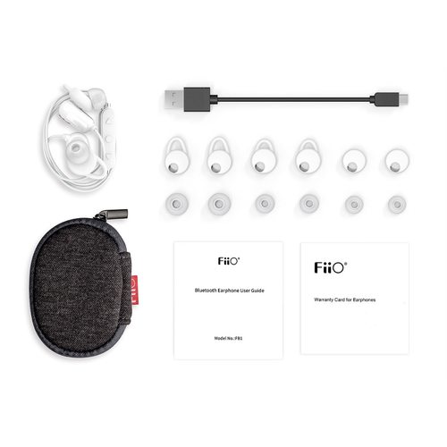 Беспроводные наушники FiiO FB1