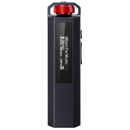 Плеер FiiO Snowsky Echo Nano (черный)
