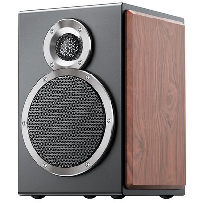 Стационарная колонка FiiO SA1 Cloud (черный/коричневый)