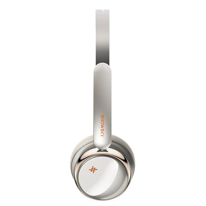 Наушники FiiO Snowsky Anytime (серебристый/бежевый)