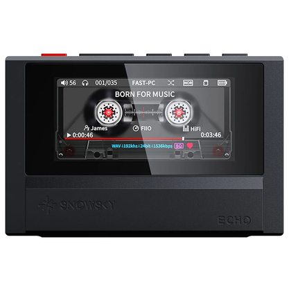 Плеер FiiO Snowsky Echo (черный)