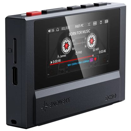 Плеер FiiO Snowsky Echo (черный)