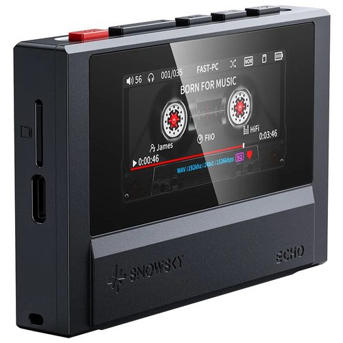 Плеер FiiO Snowsky Echo (черный)