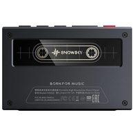 FiiO Snowsky Echo (черный)