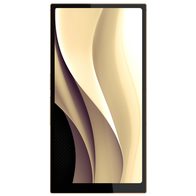 HiBy Golden 10th Anniversary Set – R6 PRO MAX (Titanium)+Golden 10th IEMs