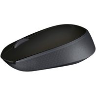 Logitech M171 (черный/серый)