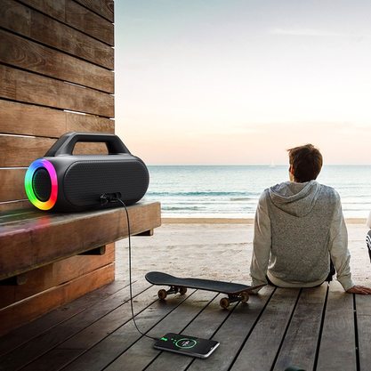 MIFA WildBox (черный)