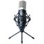 Микрофон Marantz MPM1000