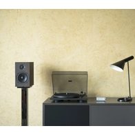 Pro-Ject Primary E Phono (черный)