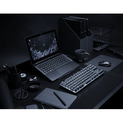 Игровая клавиатура Razer BlackWidow Lite (черный)