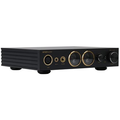 Стационарный усилитель и ЦАП Sendy Audio DAC Kylin (черный)
