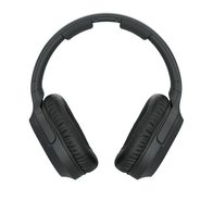 Sony MDR-RF895RK