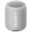 Беспроводная колонка Sony SRS-XB12 (серый)
