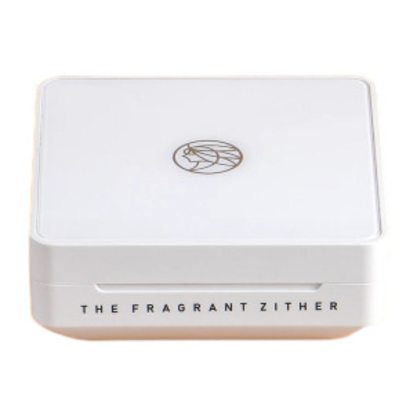 Чехол для наушников TFZ