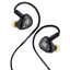 Наушники Tangzu Wan'er S.G 2 3.5 мм с микрофоном (черный)