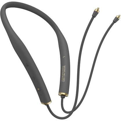 Кабель Whizzer W2-AM1