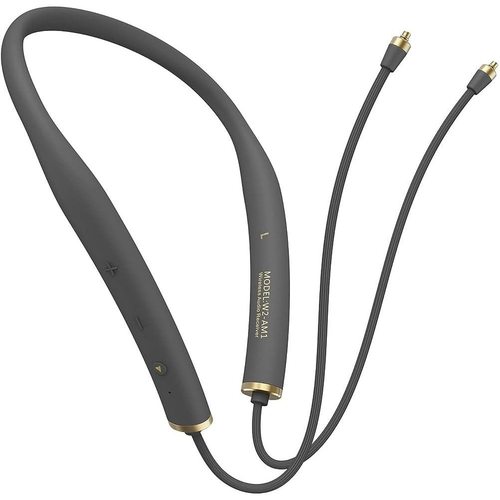 Кабель Whizzer W2-AM1