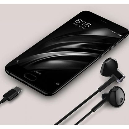 Наушники Xiaomi Dual Driver Earphones Type-C (черный)