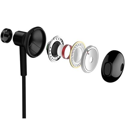 Наушники Xiaomi Dual Driver Earphones Type-C (черный)
