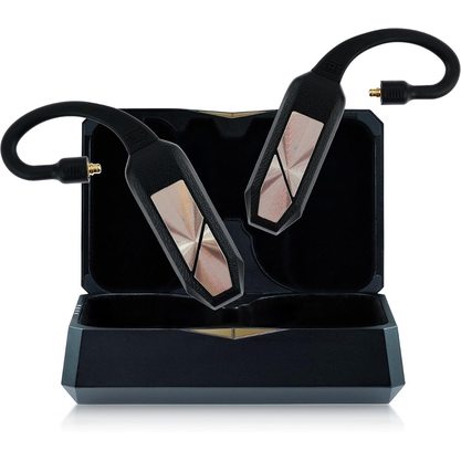 Беспроводные наушники iFi Audio GO Pod