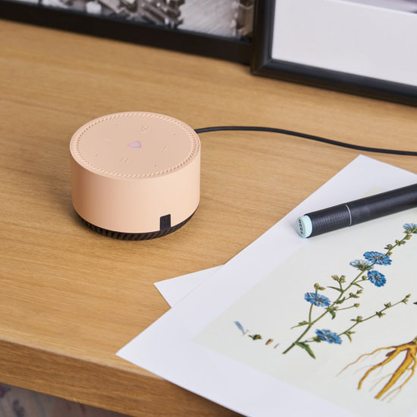 Умная колонка Яндекс Станция Лайт YNDX-00025 (капучино)