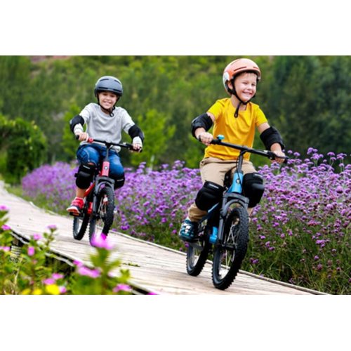 Велосипед Xiaomi Ninebot Kids Bike 14" (синий)