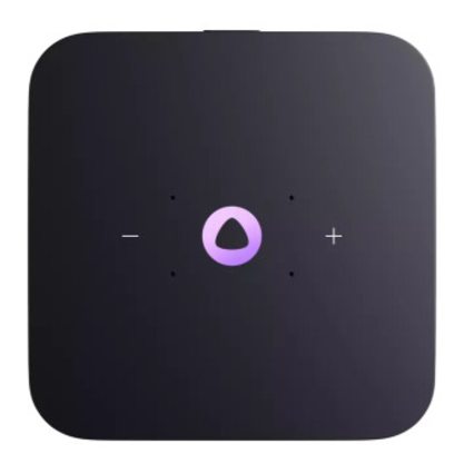 Умная колонка Яндекс Станция Миди YNDX-00054 (малиновый)