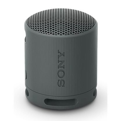 Беспроводная колонка Sony SRS-XB100 (черный)