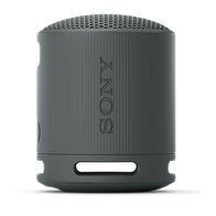 Sony SRS-XB100 (черный)