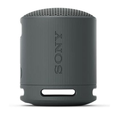 Беспроводная колонка Sony SRS-XB100 (черный)