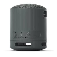 Sony SRS-XB100 (черный)