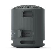 Sony SRS-XB100 (черный)