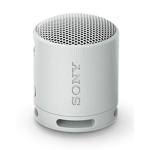 Беспроводная колонка Sony SRS-XB100 (белый)