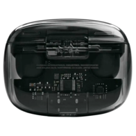 JBL Tune Buds 2 Ghost Edition (черный)